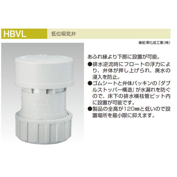 画像1: HBVL　低位吸気弁　マエザワ【A7】 (1)